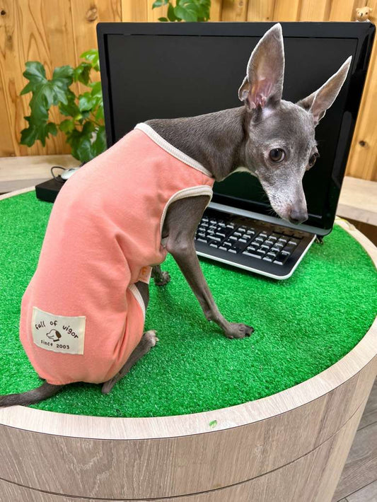 \ 把窗簾咻~的關上🫳🏻/