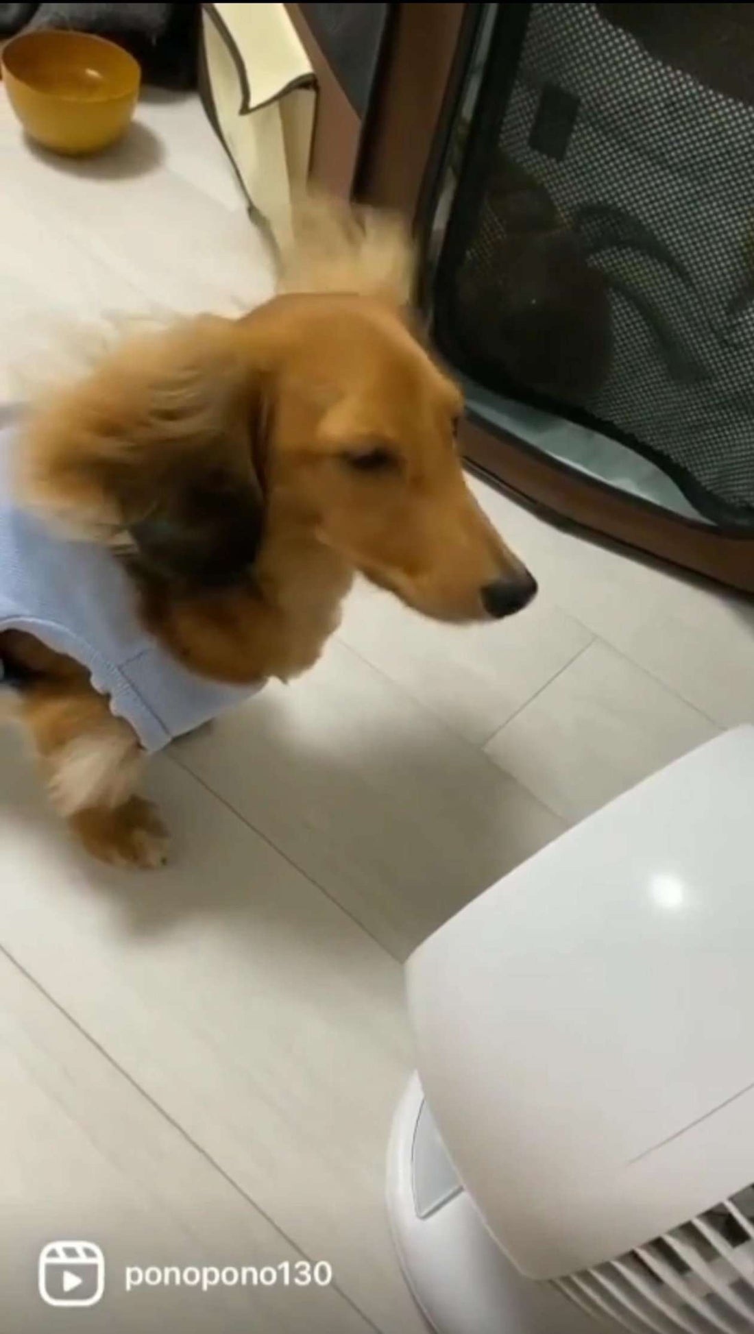 \ Hot🌞Limit❤️之伍佰是你?!🔥 /