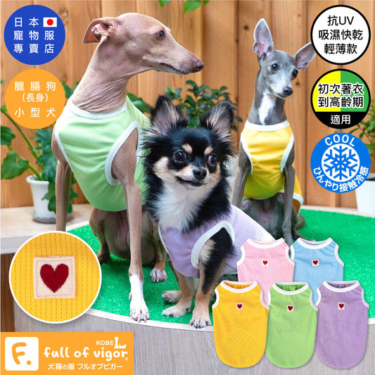 \ ❤️🔥再入荷❤️🔥 /