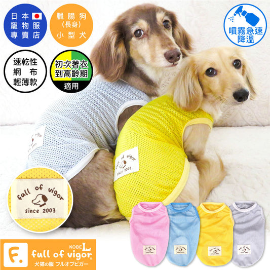 \ 🎽8月4日新款正式發售🎽 /