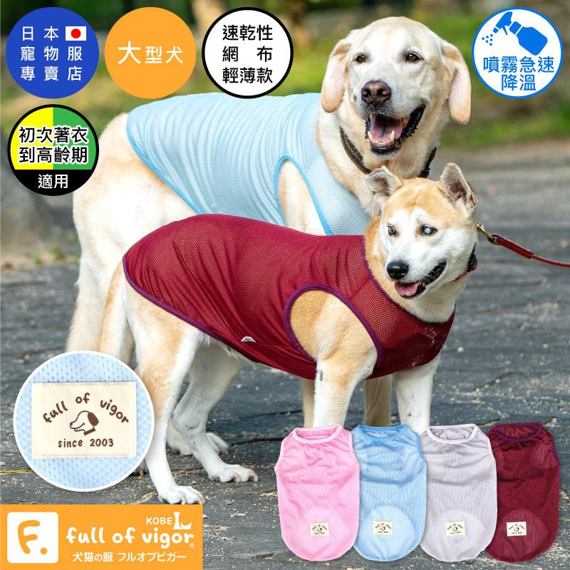 \ 🌞敬請鎖定8月4日正式發售🌞 /