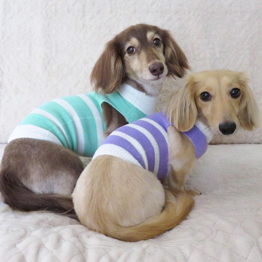 \ 搶先看👀🧣ぽんぽんウエア(暫譯:蓬蓬服)2023年版本 /