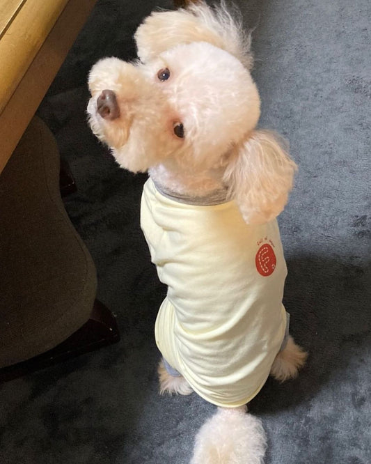 \ 極上舒適的居家服🫧🫶 /