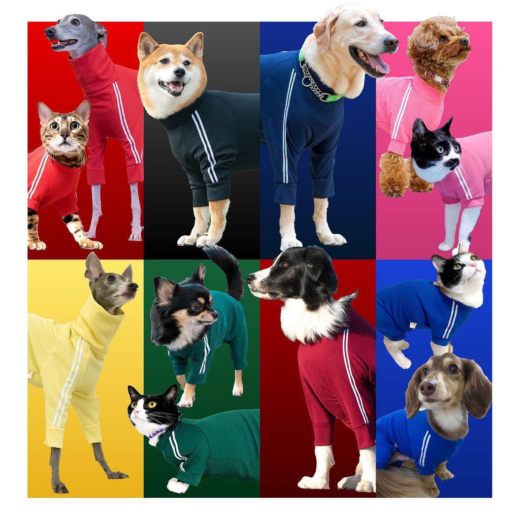 【 ❤️💙體育運動服隊 隊員募集中💛💚 】