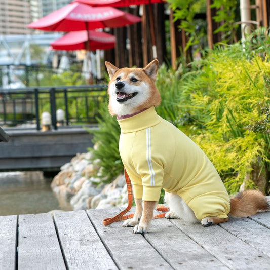 【 9月4日正式發售⑥ 】