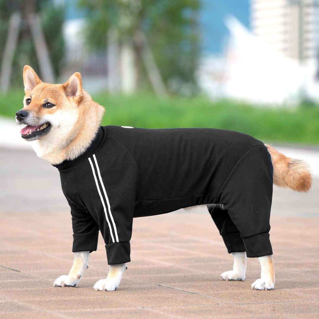 【 9月4日正式發售⑦ 】