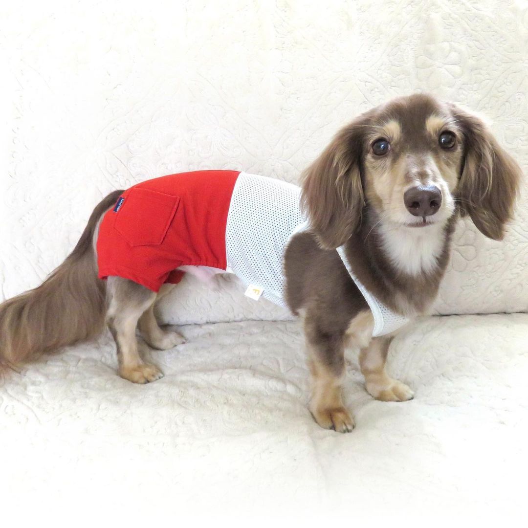 【9月4日SALE商品-⑭】