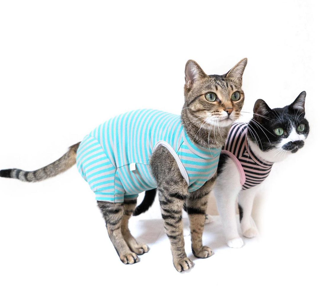 【9月4日SALE商品-⑯】