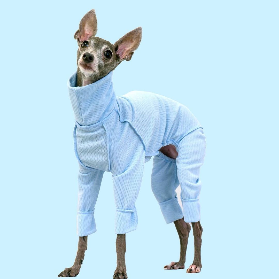 【🧚🏻9月4日正式發售-⑱🧚🏻♂️】