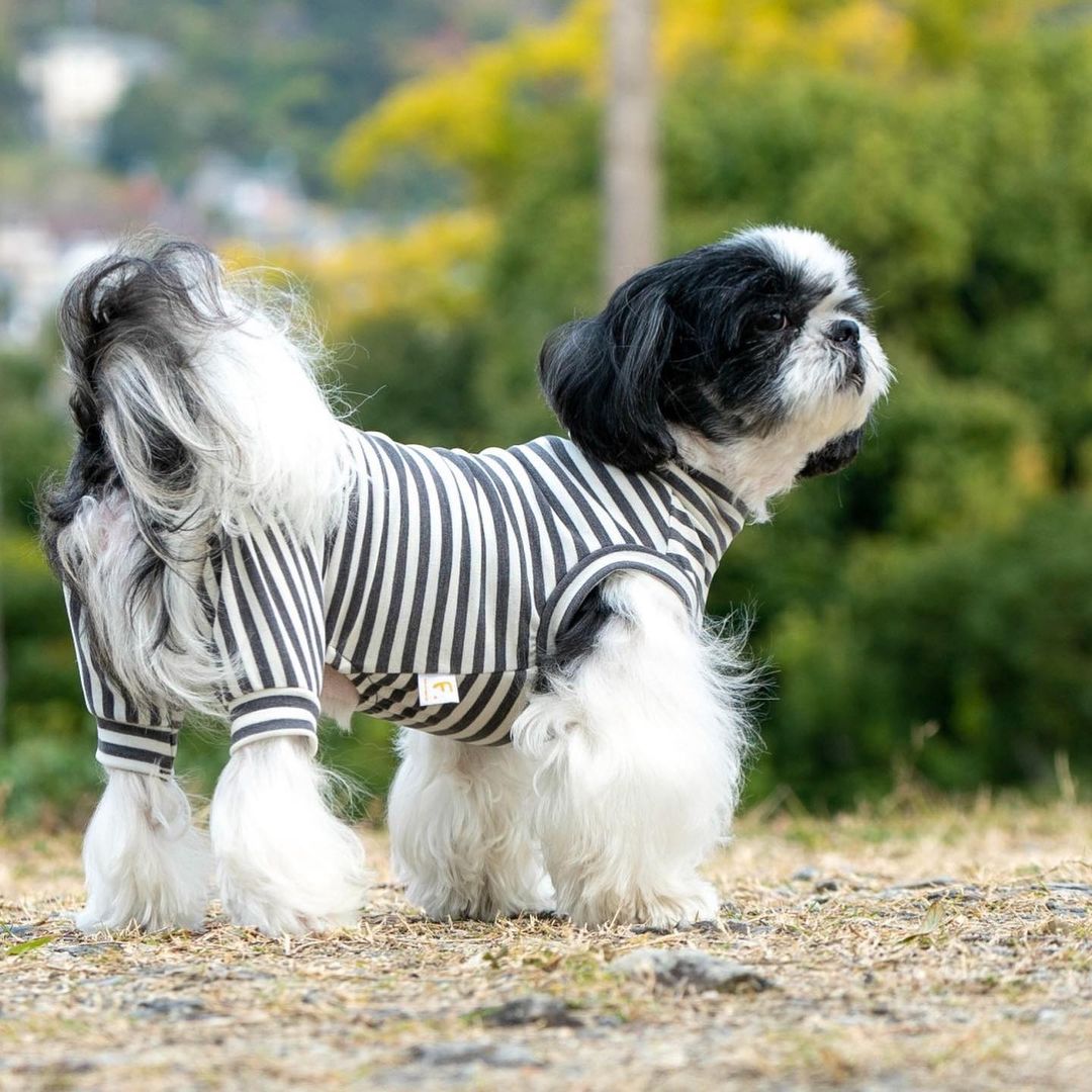 【9月4日SALE商品-⑬】