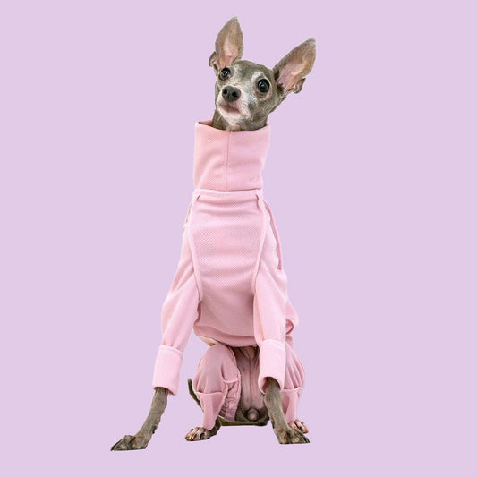 【9月4日正式發售-⑰】