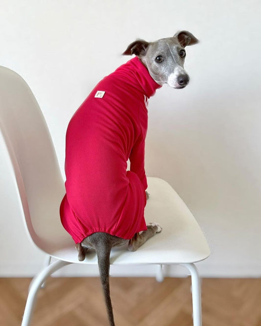 \ 用背影說話的帥哥😎💪 /