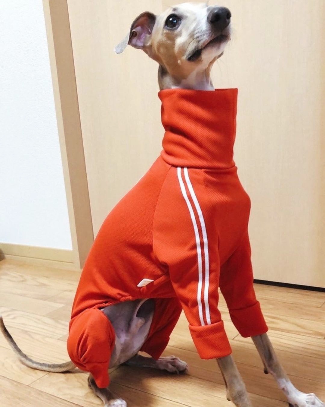 \ ✨✨❤️🔥Beautiful ❤️🔥✨✨ /