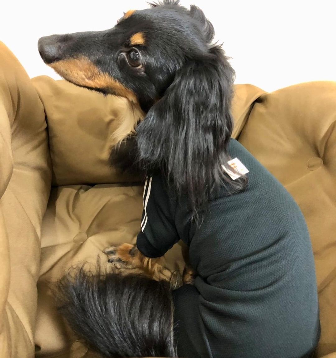 \ 家人幫我買了3種顏色唷❤️🖤💚 /