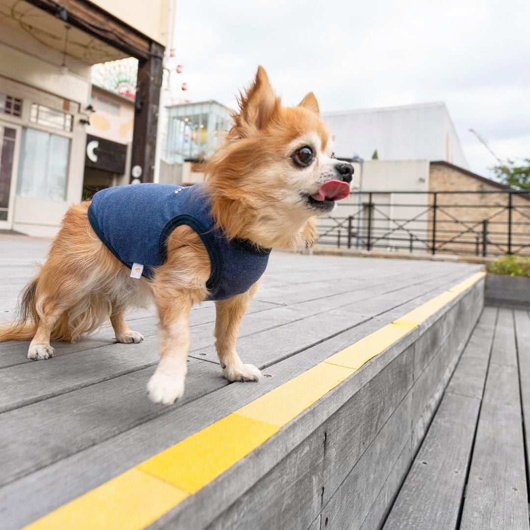 【 9月4日SALE特賣商品⑧ 】