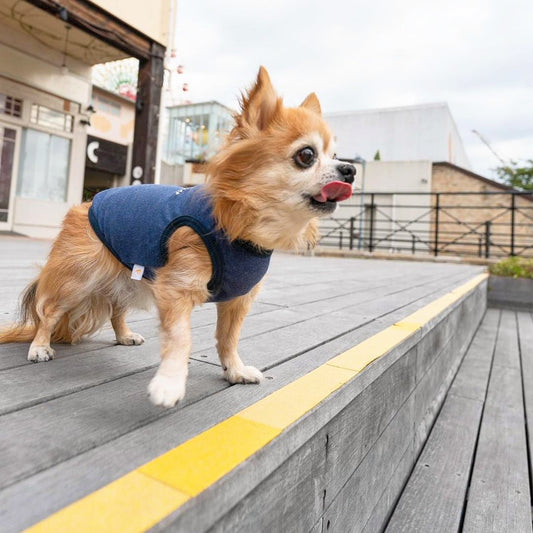 【 9月4日SALE特賣商品⑧ 】