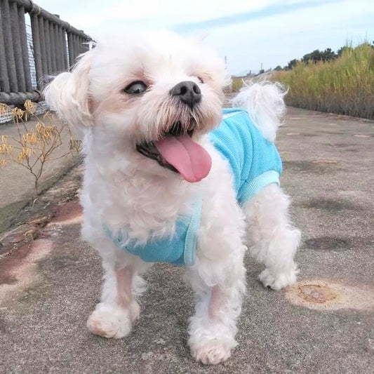 \術後服(術後服エリザベスウエア®)/