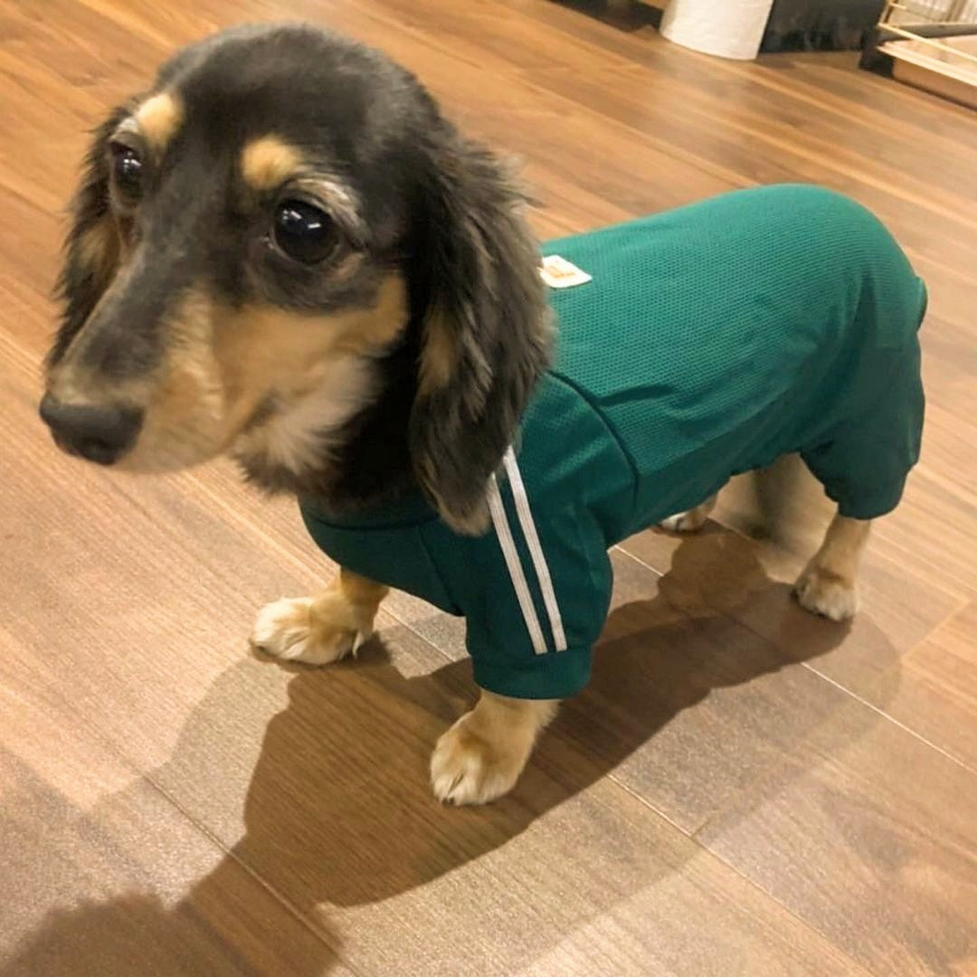 \ 體育運動服還有新款穿搭照✨ /