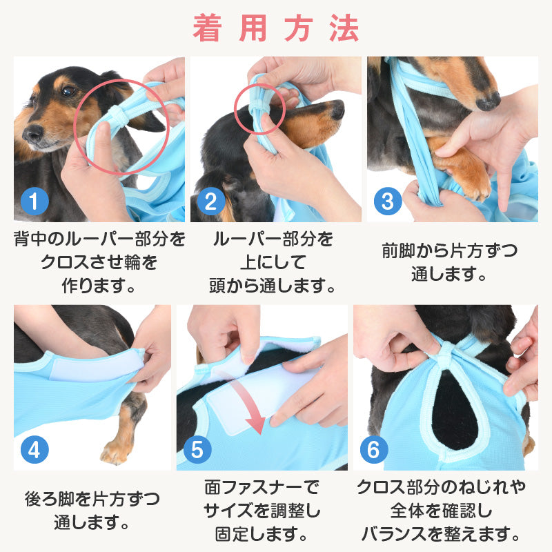 術後服(術後服エリザベスウエア®)(男用 / 臘腸狗・小型犬用 / 抗菌・除臭材質)