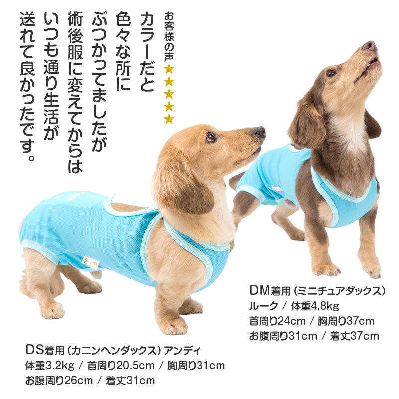 術後服(術後服エリザベスウエア®)(男用 / 臘腸狗・小型犬用 / 抗菌・除臭材質)