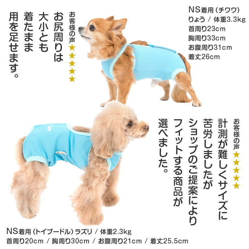 術後服(術後服エリザベスウエア®)(男用 / 臘腸狗・小型犬用 / 抗菌・除臭材質)