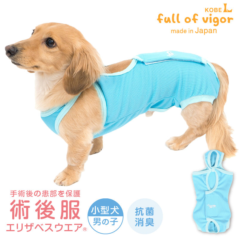 術後服(術後服エリザベスウエア®)(男用 / 臘腸狗・小型犬用 / 抗菌・除臭材質)