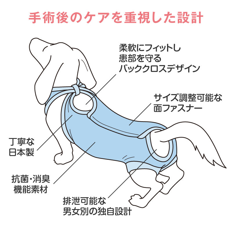 術後服(術後服エリザベスウエア®)(男用 / 臘腸狗・小型犬用 / 抗菌・除臭材質)