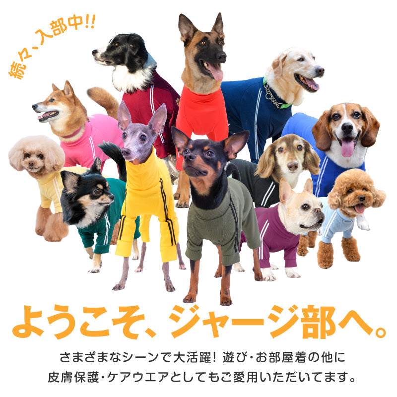 DOGPLAY®體育運動服連身衣(小型犬用)【有幼型犬N2S尺碼】