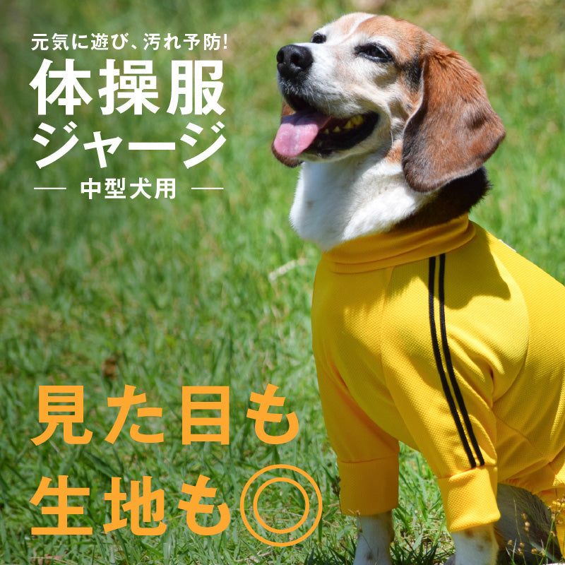 DOGPLAY®體育運動服連身衣(中型犬用)