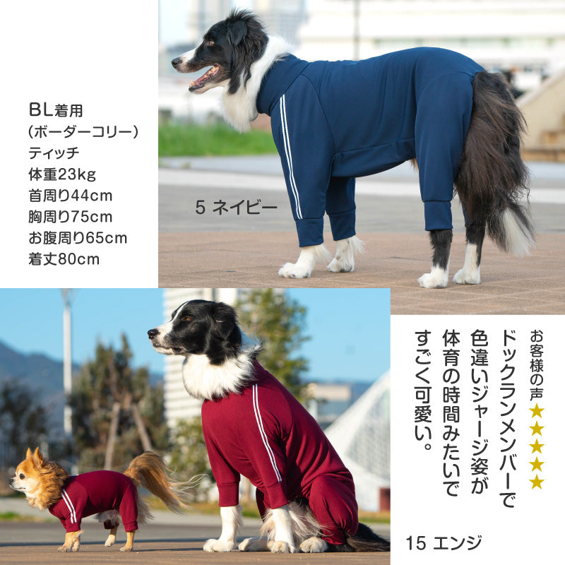 DOGPLAY®體育運動服連身衣(大型犬用)