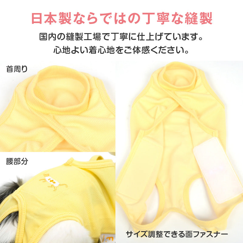 術後服(術後服エリザベスウエア®)(男女兼用 / 猫用 / 抗菌・除臭材質)