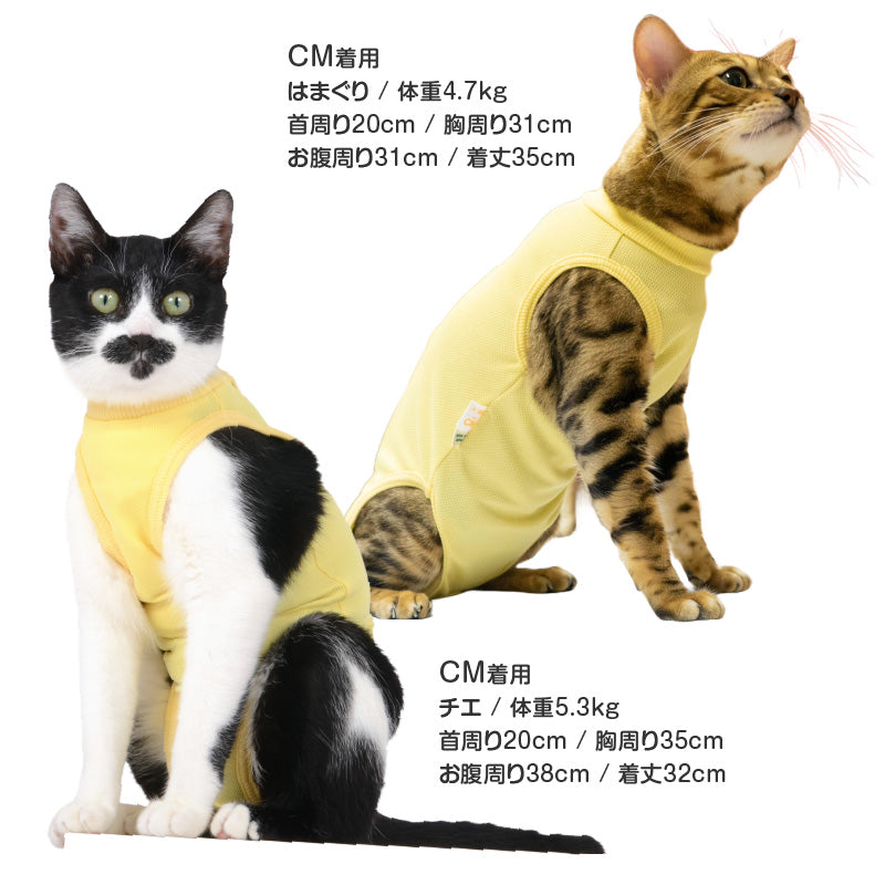 術後服(術後服エリザベスウエア®)(男女兼用 / 猫用 / 抗菌・除臭材質)