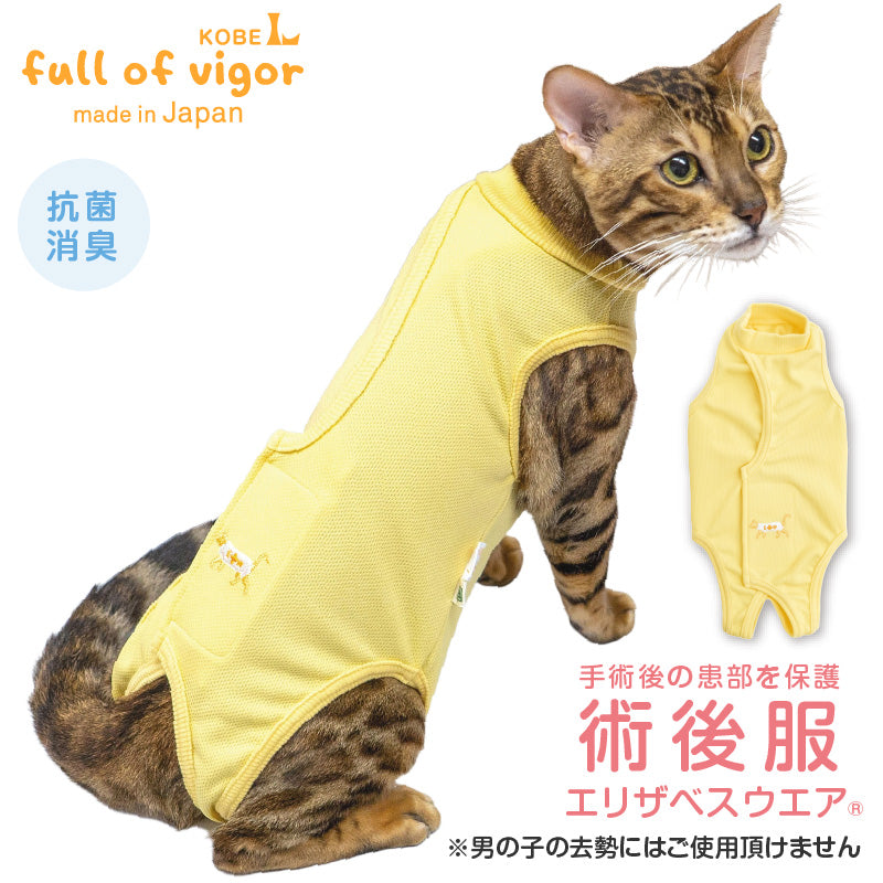 術後服(術後服エリザベスウエア®)(男女兼用 / 猫用 / 抗菌・除臭材質)