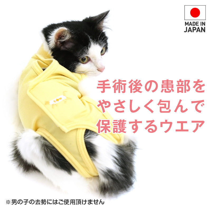 術後服(術後服エリザベスウエア®)(男女兼用 / 猫用 / 抗菌・除臭材質)