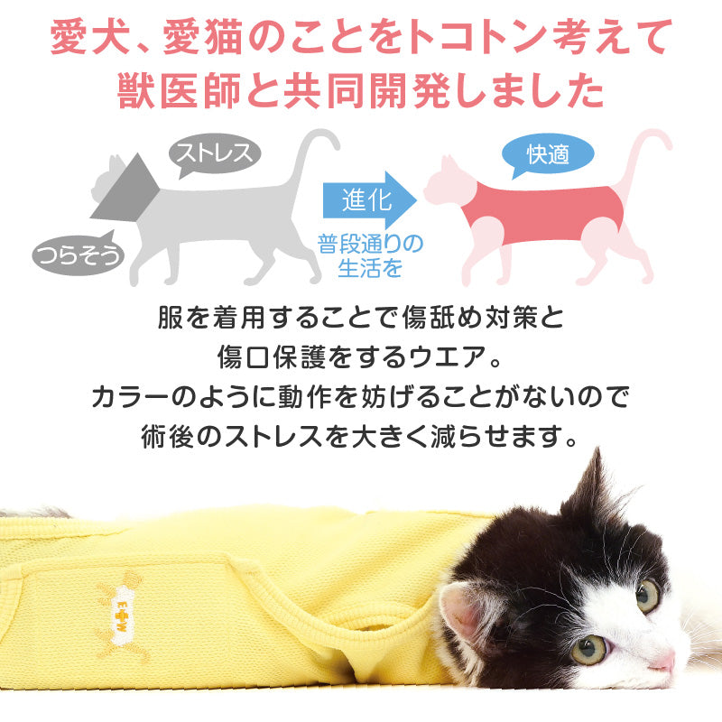 術後服(術後服エリザベスウエア®)(男女兼用 / 猫用 / 抗菌・除臭材質)