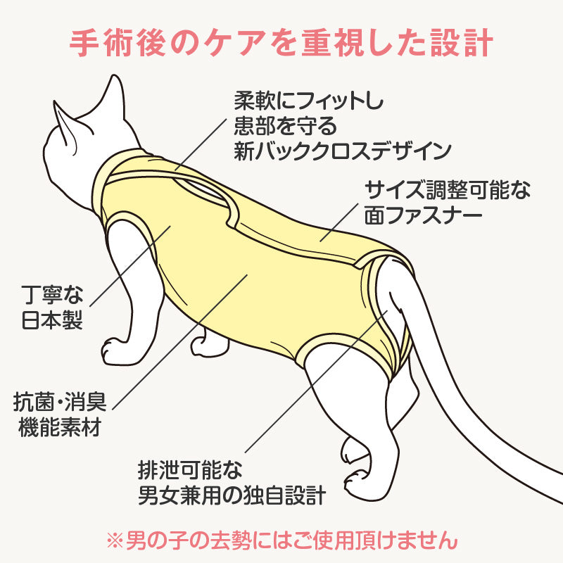 術後服(術後服エリザベスウエア®)(男女兼用 / 猫用 / 抗菌・除臭材質)
