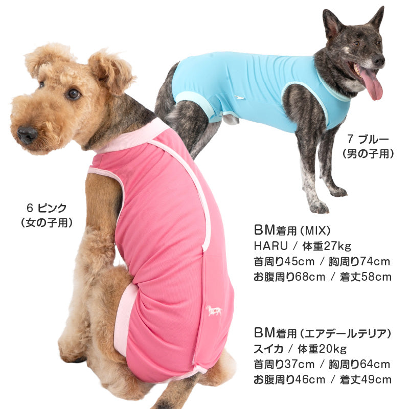 術後服(術後服エリザベスウエア®)(男用 / 大型犬用 / 抗菌・除臭材質)