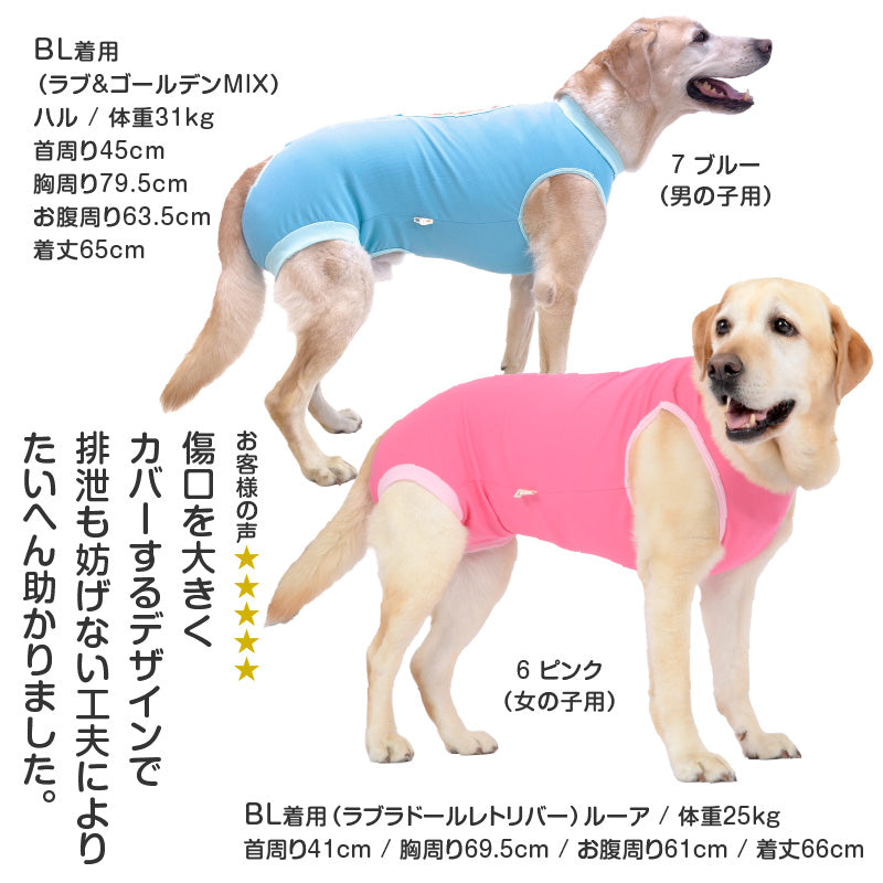 術後服(術後服エリザベスウエア®)(男用 / 大型犬用 / 抗菌・除臭材質)