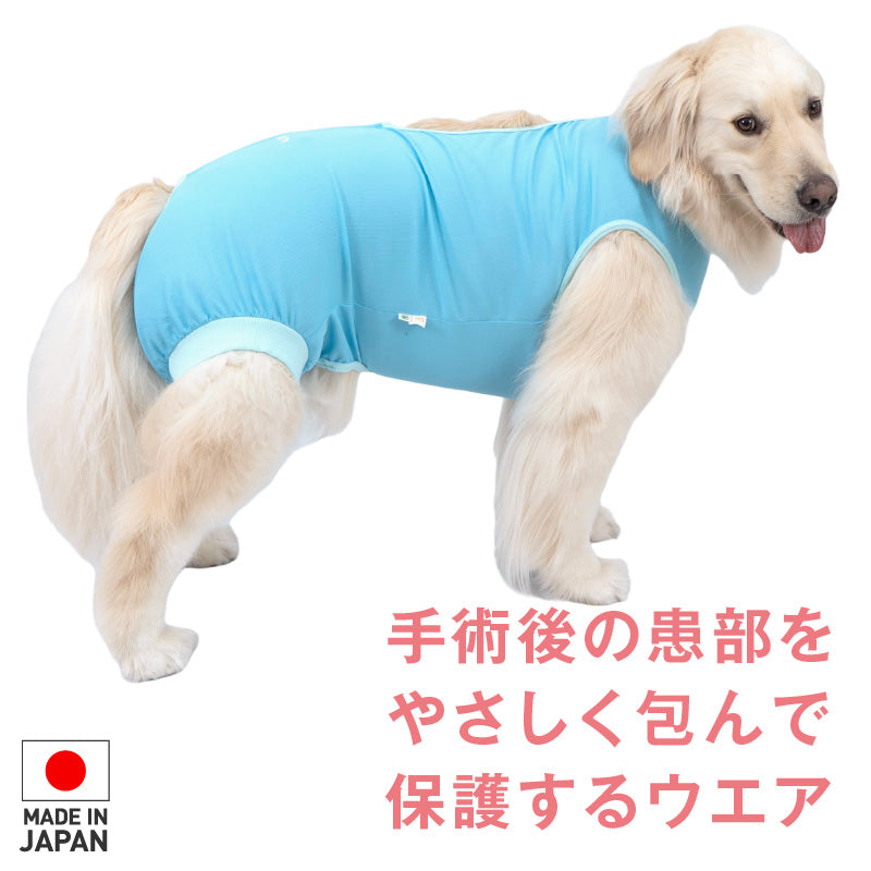 術後服(術後服エリザベスウエア®)(男用 / 大型犬用 / 抗菌・除臭材質)