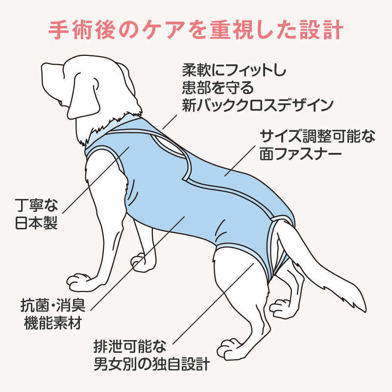 術後服(術後服エリザベスウエア®)(男用 / 大型犬用 / 抗菌・除臭材質)