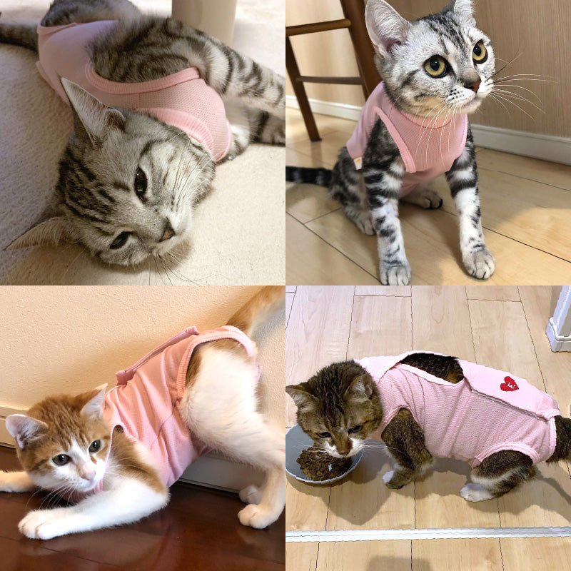 愛心刺繡貓用術後服(術後服エリザベスウエア®)(男女兼用 / 猫用 / 抗菌・除臭材質)