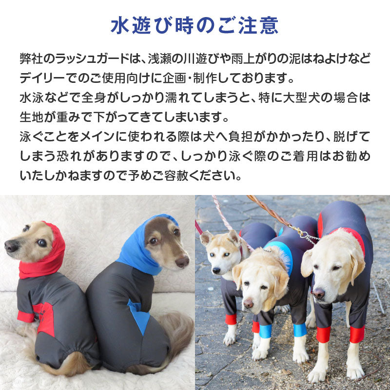DOGPLAY®防潑水雨衣Rash Guard(臘腸狗・小型犬用)