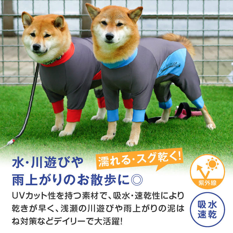 DOGPLAY®防潑水雨衣Rash Guard(臘腸狗・小型犬用)