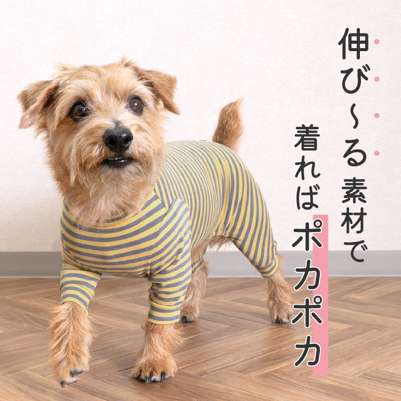 保暖條紋居家服(臘腸狗・小型犬用)