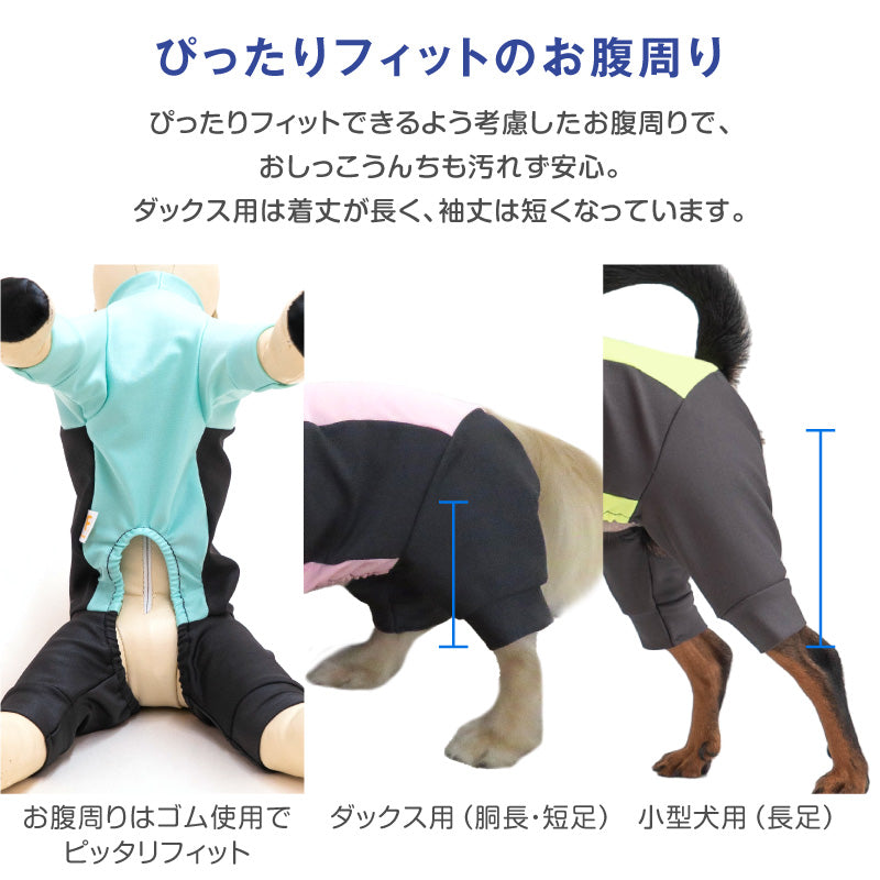 DOGPLAY®側腰剪裁Rash Guard(臘腸狗・小型犬用)