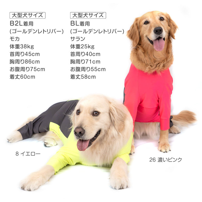 ドッグプレイ®（Dog Play）側腰剪裁Rash Guard(中型犬用)