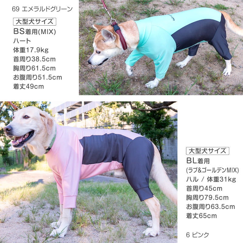 ドッグプレイ®（Dog Play）側腰剪裁Rash Guard(中型犬用)