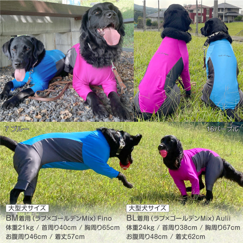 ドッグプレイ®（Dog Play）側腰剪裁Rash Guard(中型犬用)