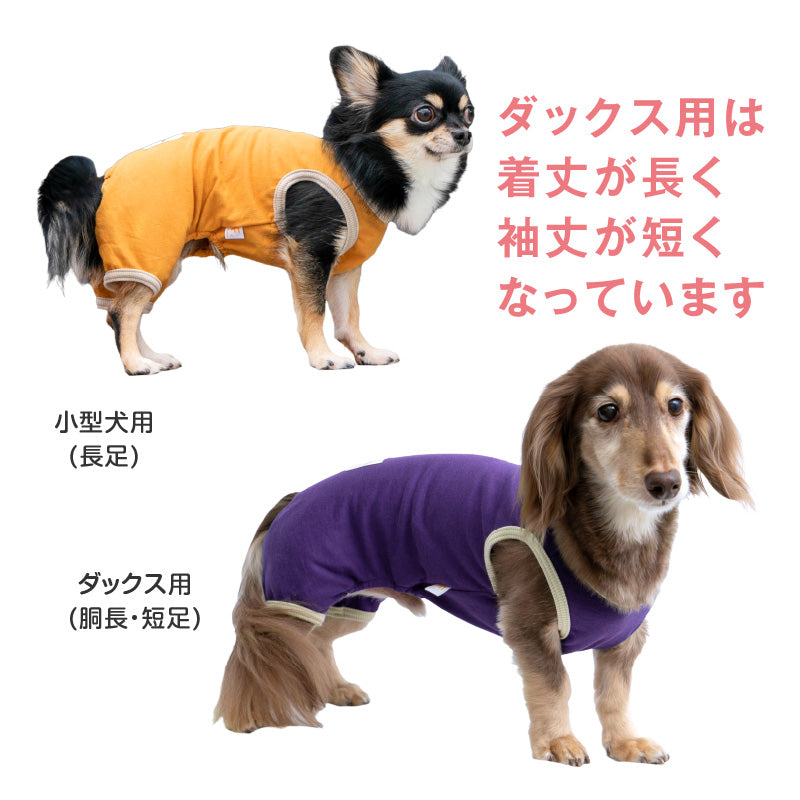 超級內短磨毛日常著連身衣(臘腸狗・小型犬用)