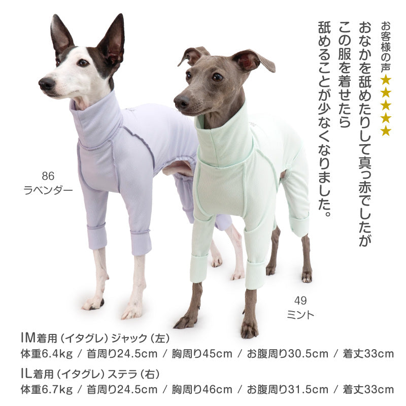 皮膚保護服(皮膚保護服スキンウエア®)(男女兼用 / 靈緹犬用 / 抗菌・除臭材質)